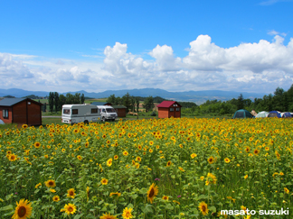 夏の富良野・美瑛