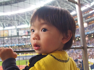 2012　セパ交流戦　オリックス　大阪ドーム