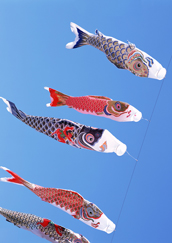 ゴールデンウィーク　休み