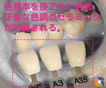 色見本と一緒に綺麗な写真をデジタル化にして利用