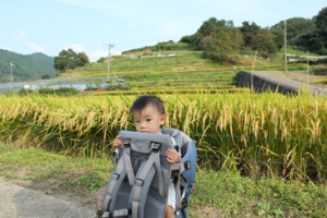 案山子かかし役の息子
