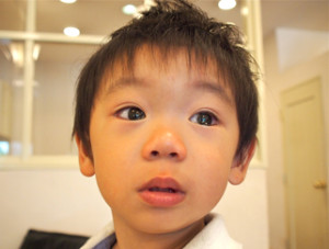 初めての散髪が無事に終わりました