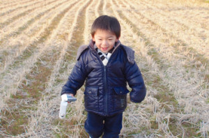 田んぼの刈り跡