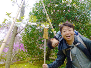 息子のしだれ桜