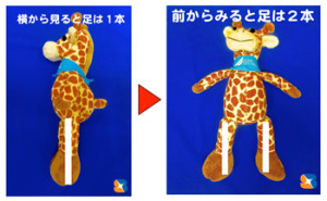 歯の神経を抜く治療が難しい理由