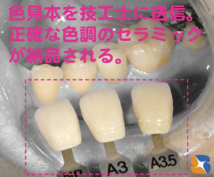 色見本と一緒に綺麗な写真をデジタル化にして利用