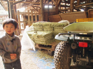 島根　木次　日登牧場