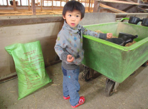 体に安全、優しい餌