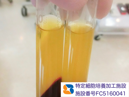 良心価格　成功症例多数　再生医療　インプラント　大阪　奈良　生駒　石切