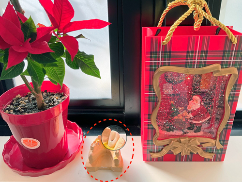 東大阪　奈良　石切駅前　鈴木歯科　ブルーラジカル　静脈麻酔鎮静　寝ながらリラックス　歯周病　インプラント　失った骨の再生医療　血液コラーゲン　歯科用最新CT精度が高い　正確な診査と診断 経験豊富