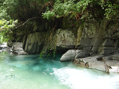 洞川の最上流
