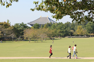 東大寺と奈良公園