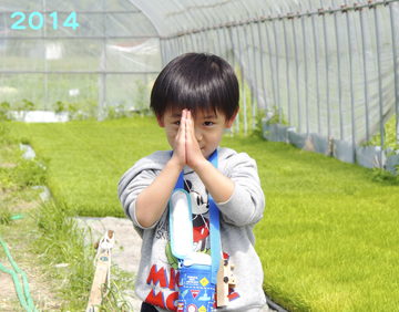 美味しいお米、大切に頂きます