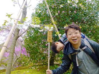息子のしだれ桜