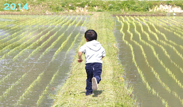 春、夏、秋、がんばるぞ！