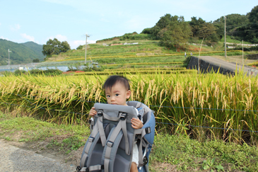 案山子かかし役の息子