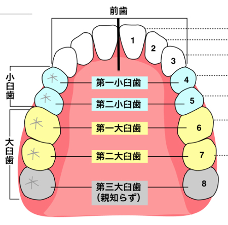 前から４番目と５番目